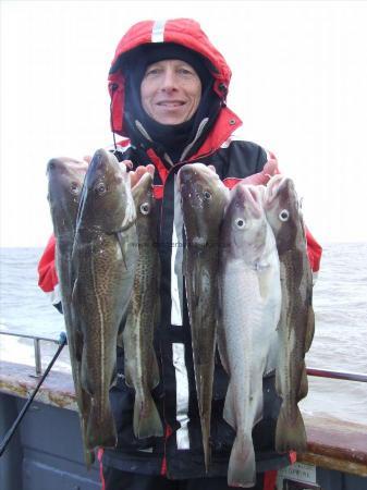 3 lb Cod by martin