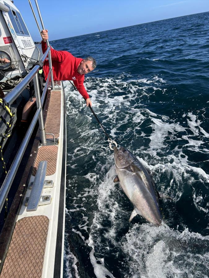 250 lb Bluefin Tuna by chris