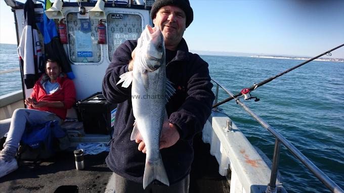 7 lb 5 oz Bass by Dave from Kent