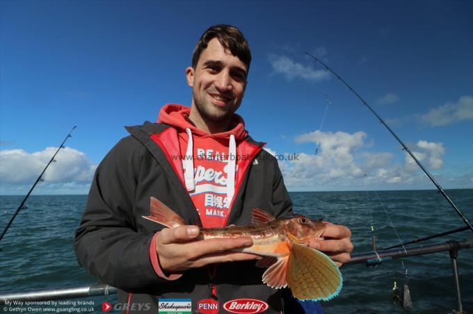 2 lb Tub Gurnard by Dave