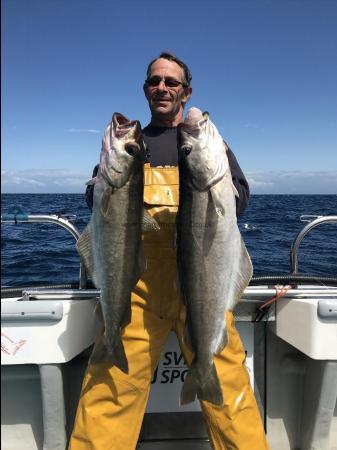 13 lb Pollock by Kevin McKie