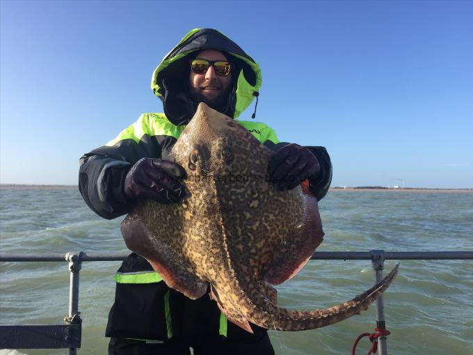 14 lb Thornback Ray by Unknown