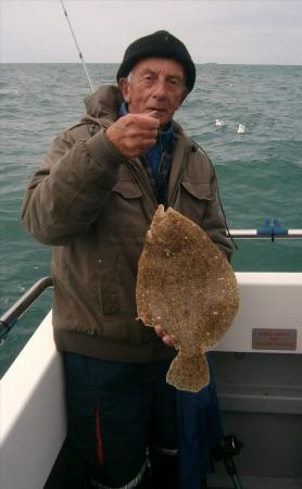 3 lb Brill by Winston