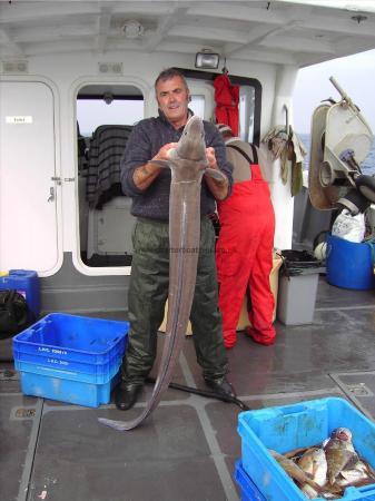 52 lb Conger Eel by Unknown