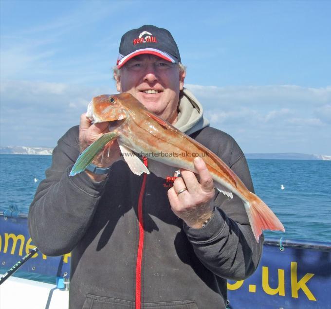 3 lb Tub Gurnard by Colin Penny