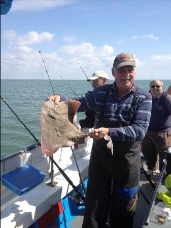 8 lb Thornback Ray by Unknown