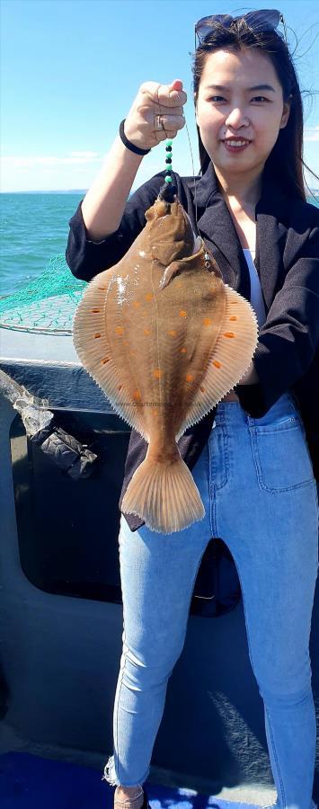 2 lb Plaice by Unknown