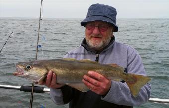 5 lb Pollock by Andy Truelove
