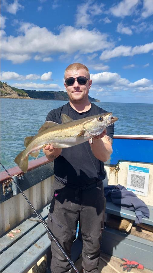 5 lb 8 oz Pollock by Unknown