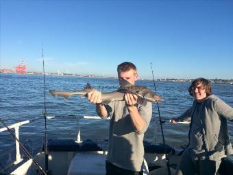6 lb Smooth-hound by Unknown