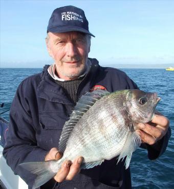 3 lb Black Sea Bream by Les Whiteman