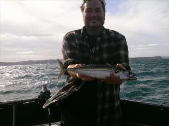 1 lb 6 oz Mackerel by Andy