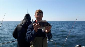 3 lb 2 oz Black Sea Bream by Aurthor