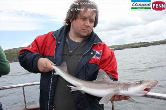 6 lb 4 oz Starry Smooth-hound by Richard