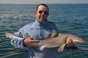 14 lb Starry Smooth-hound by Davy