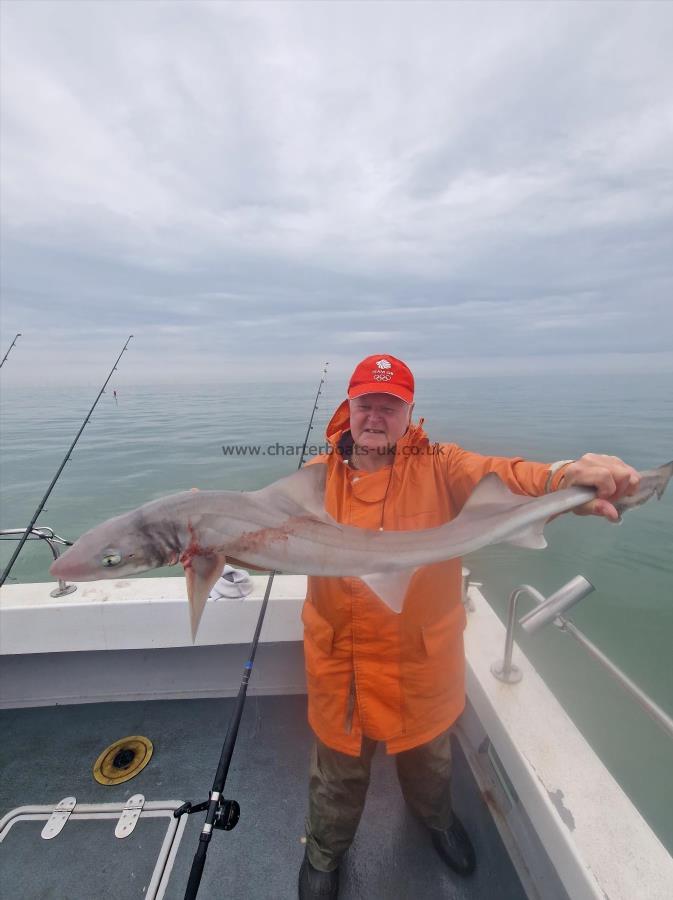 10 lb 3 oz Smooth-hound (Common) by Dave
