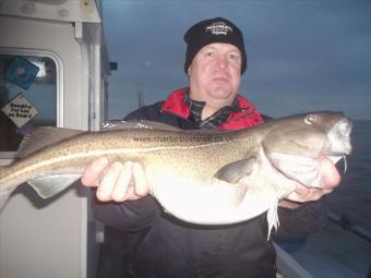 14 lb 8 oz Cod by Unknown