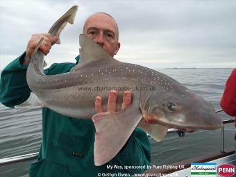 19 lb Starry Smooth-hound by Gary