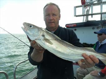 3 lb 6 oz Whiting by Unknown