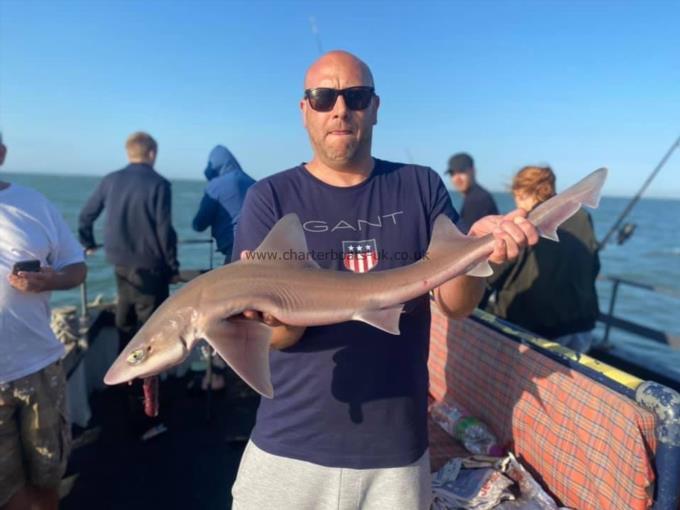 6 lb Smooth-hound (Common) by Unknown