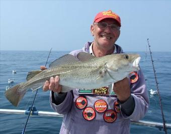 7 lb Cod by Dodgey David Barton