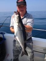 6 lb 8 oz Coalfish (Coley/Saithe) by Steve King