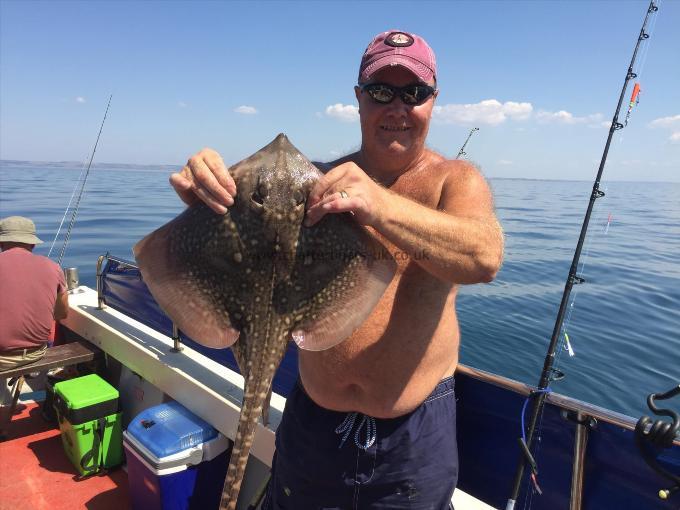 7 lb Thornback Ray by Unknown