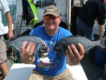 2 lb Black Sea Bream by Unknown