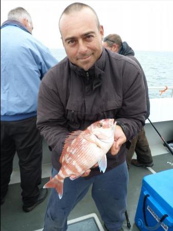 2 lb 8 oz Couch's Sea Bream by Andy Street