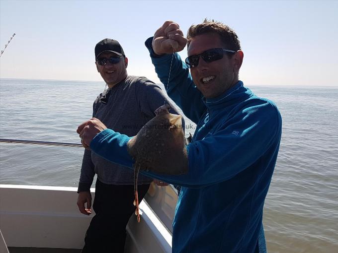 6 oz Thornback Ray by Nick with huge skate