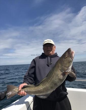 14 lb Cod by Unknown