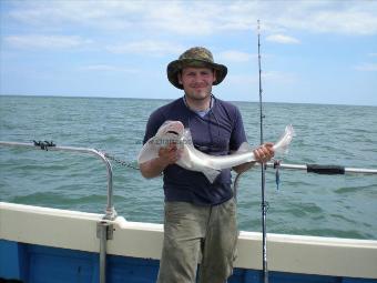 13 lb Starry Smooth-hound by billy dack