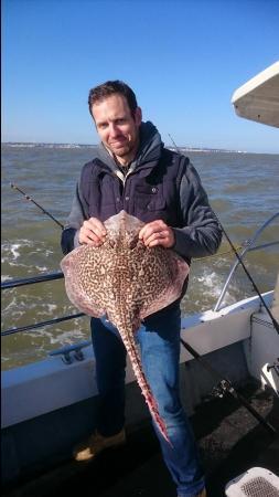 8 lb 8 oz Thornback Ray by Bob Marshall