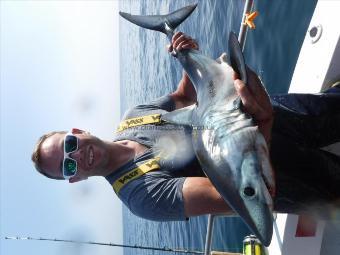 50 lb Porbeagle by Unknown