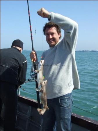 3 lb Lesser Spotted Dogfish by Unknown
