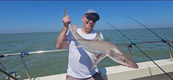 10 lb Starry Smooth-hound by Elliot