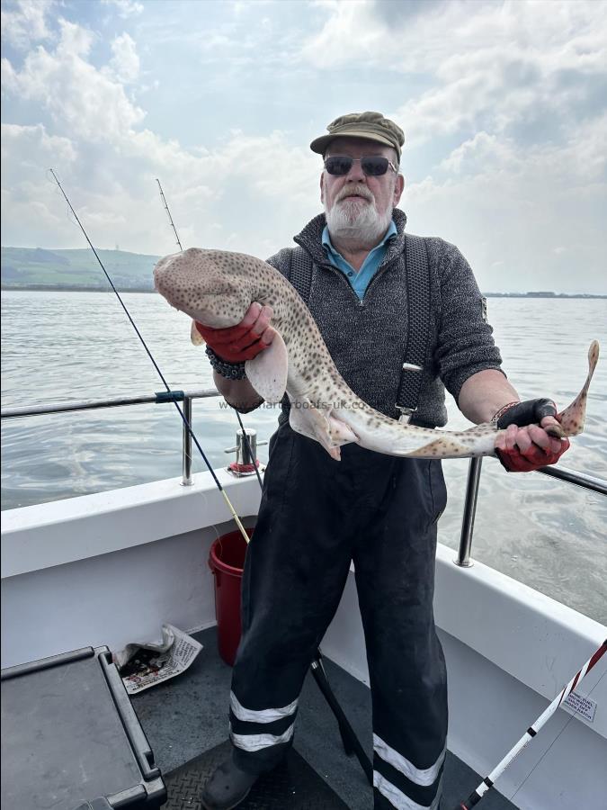 4.5 Kg Bull Huss by Ray Crowe