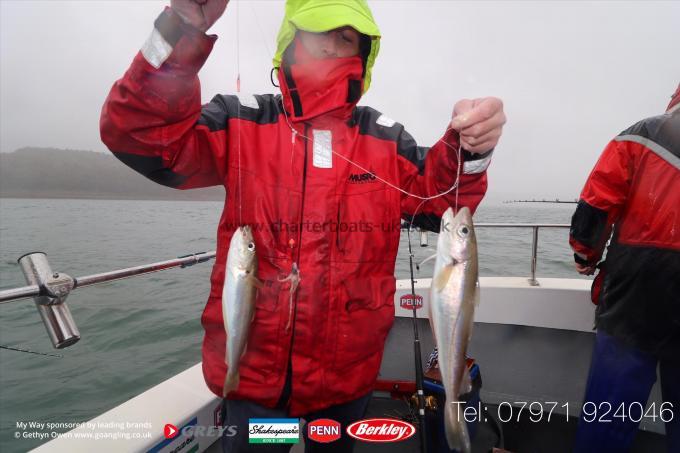 1 lb Whiting by Mark