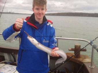 4 lb Conger Eel by Tom T