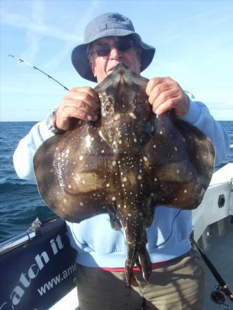 9 lb Undulate Ray by Malcolm Glyn