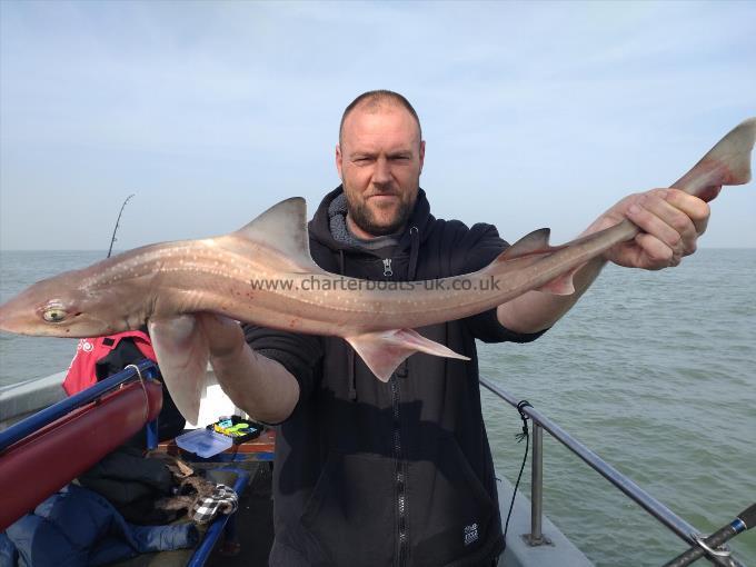 9 lb Starry Smooth-hound by Gavin from Kent