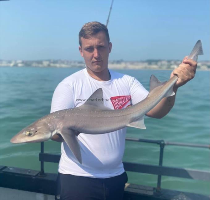 7 lb Smooth-hound (Common) by Unknown