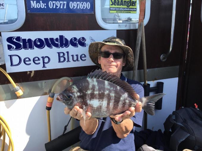 4 lb Black Sea Bream by Mike keet