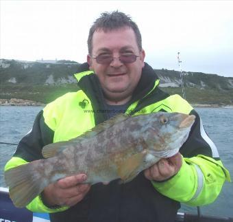 4 lb 10 oz Ballan Wrasse by Stephan Attwood