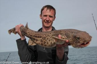 14 lb Bull Huss by Gareth