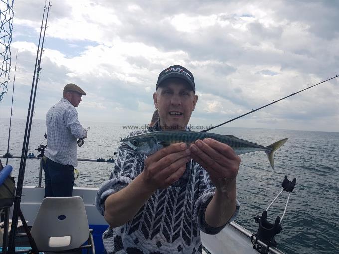 2 lb Mackerel by Kevin Vickery