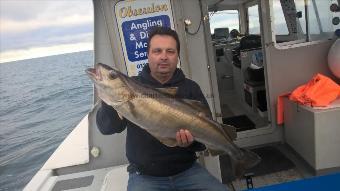 17 lb 3 oz Pollock by Tony Harrison Crewman