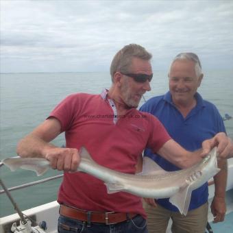 7 lb 5 oz Smooth-hound by Unknown