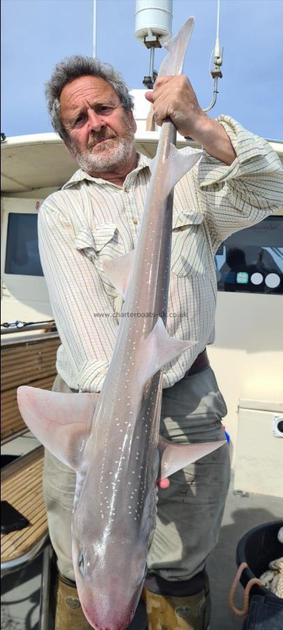 11 lb 8 oz Starry Smooth-hound by Mick
