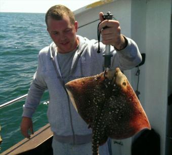 7 lb 5 oz Thornback Ray by Unknown